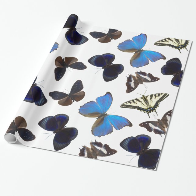 Assorted butterflies wrapping paper (Unrolled)