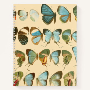 Assorted Butterfly Hardcover Spiral Sketchbook Notebook