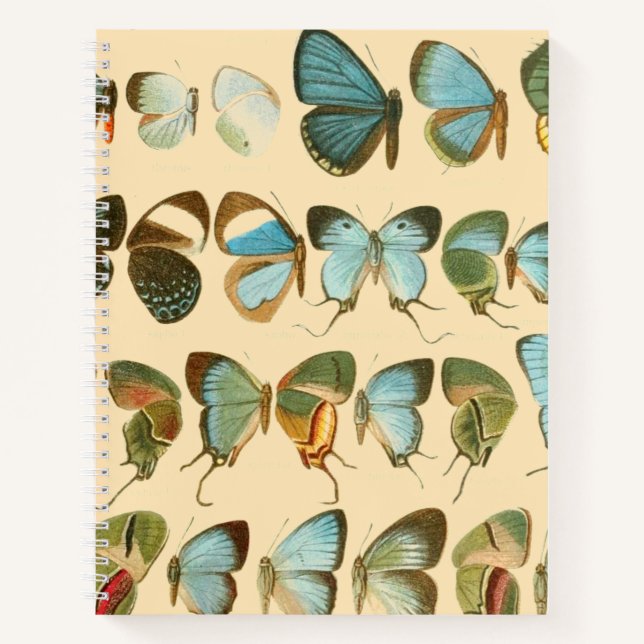 Assorted Butterfly Hardcover Spiral Sketchbook Notebook (Front)