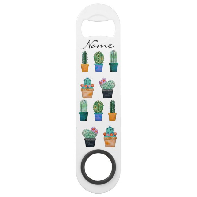 Assorted Cactus Plants Thunder_Cove (Front)