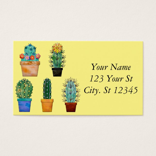 Assorted Cactus Plants Thunder_Cove (Front)