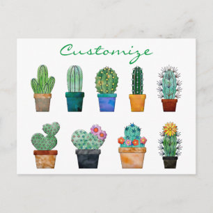 Assorted Cactus Plants Thunder_Cove Postcard