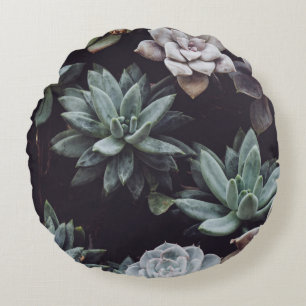 ASSORTED-COLOR SUCCULENT PLANT LOT ROUND CUSHION