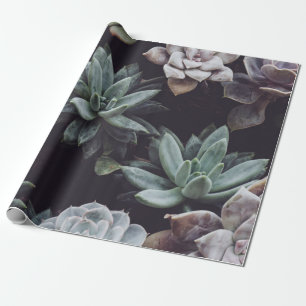 ASSORTED-COLOR SUCCULENT PLANT LOT WRAPPING PAPER