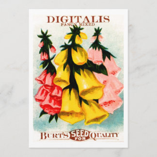 Assorted Digitalis Foxglove Seed Packet Invitation