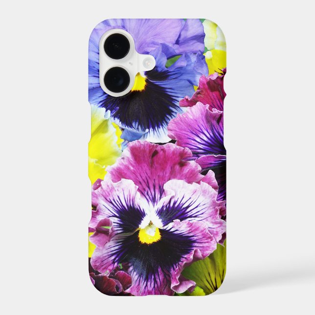 Assorted Pansies (Back)