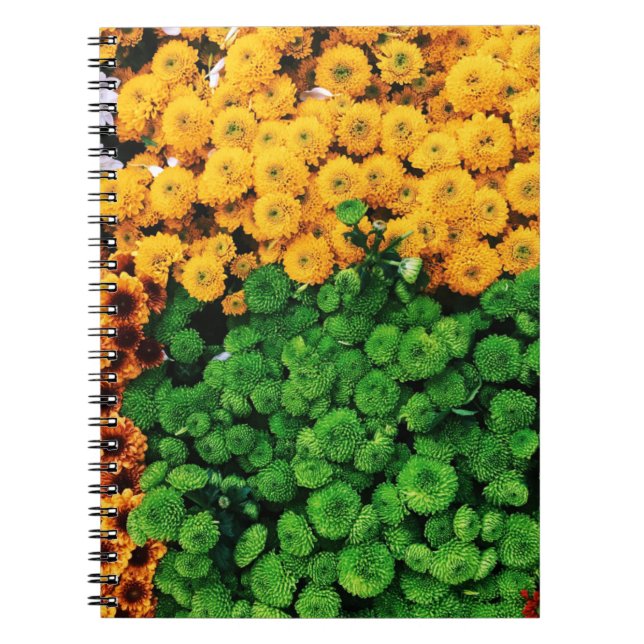 Assorted petaled flowers notebook (Front)