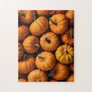 Assorted pumpkins jigsaw puzzle