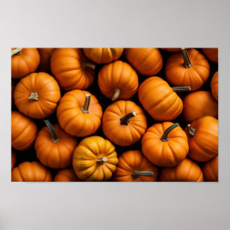 Assorted pumpkins poster
