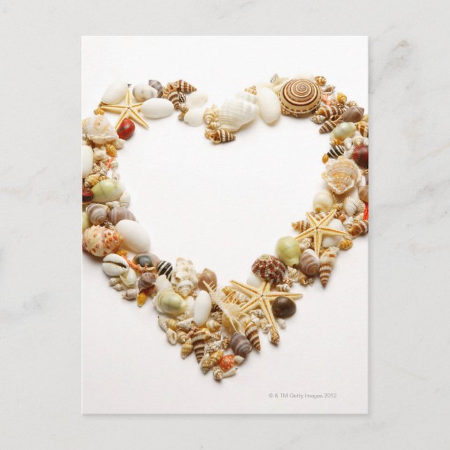 Assorted seashells form heart shape postcard (Front)