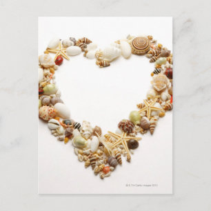 Assorted seashells form heart shape postcard