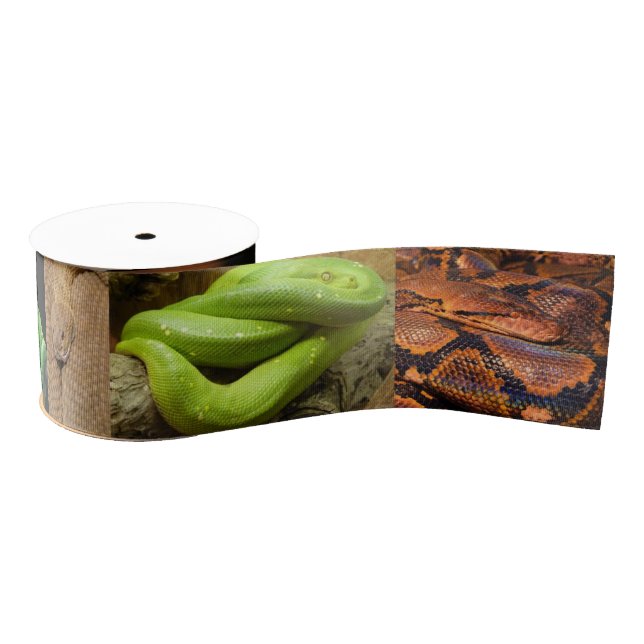 Assorted Snakes Custom 3" Wide Grosgrain Ribbon (Spool)