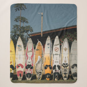 Assorted surfing boards stands on open field in th sherpa blanket