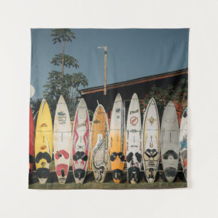 Assorted surfing boards stands on open field in th tapestry