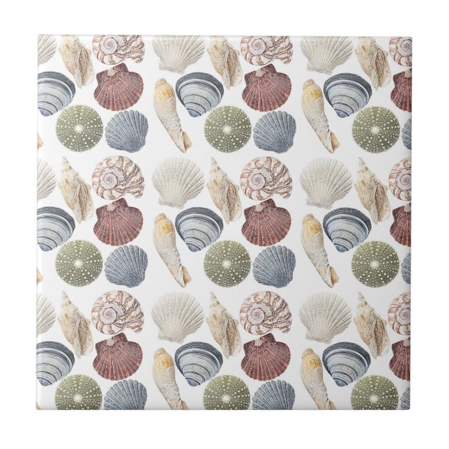 Assortment Of Shells Coastal Decor Ceramic Tile (Front)