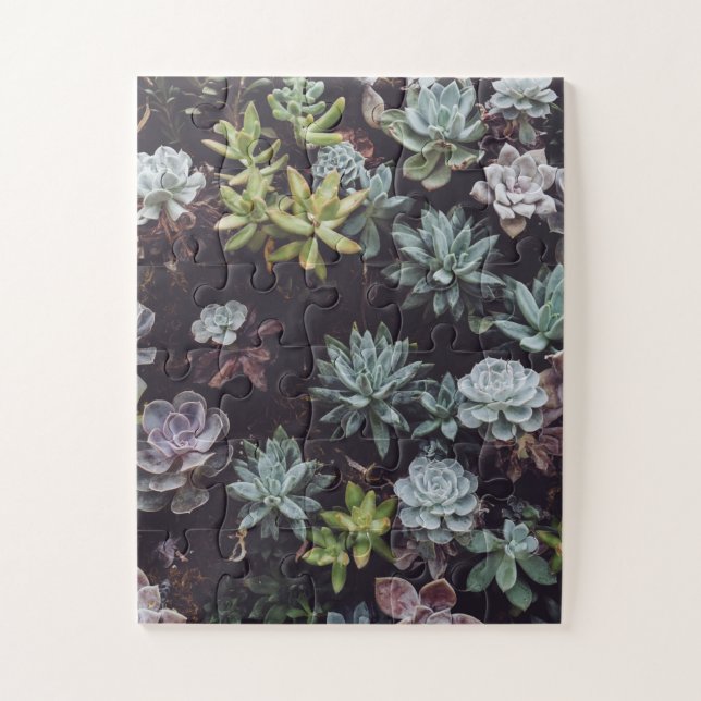 Assortment of Small Succulent Plants Jigsaw Puzzle (Vertical)