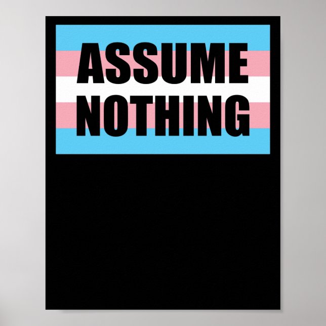 Assume Nothing Transgender Pride Poster (Front)