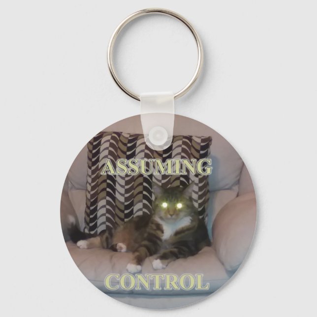 Assuming Control cat keychain (Front)