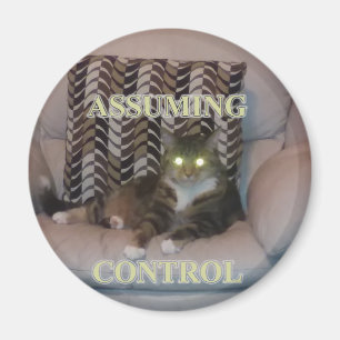 Assuming Control cat magnet