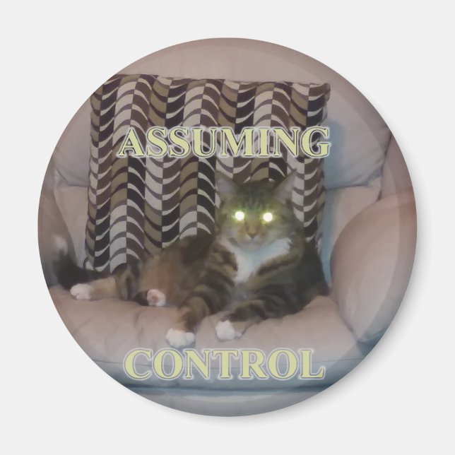 Assuming Control cat magnet (Front)