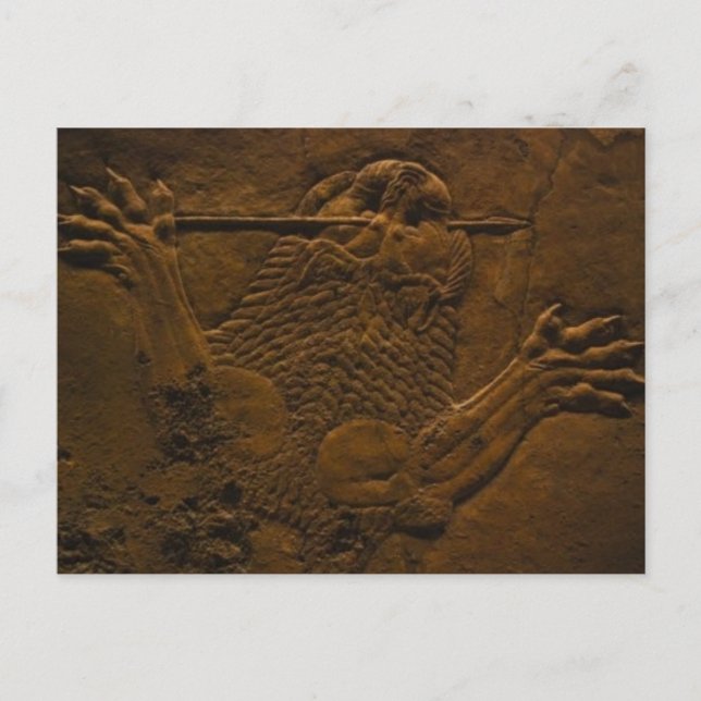 assyrian stone relief in northern mesopotamia postcard (Front)