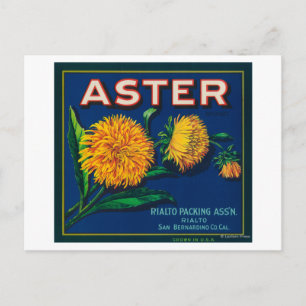 Aster Brand Citrus Crate Label Postcard