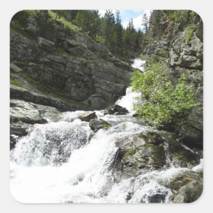 Aster Creek at Glacier National Park Square Sticker