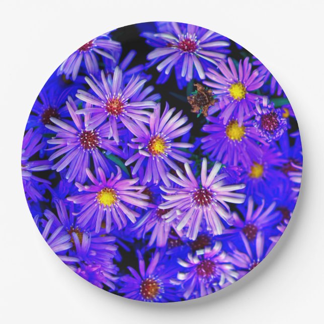 Aster Garden in Full Bloom Paper Plate (Front)