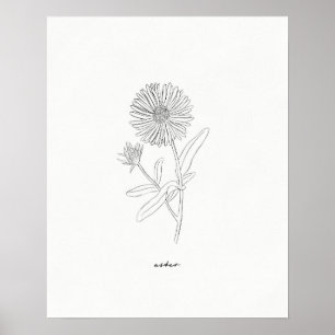 Aster Line Drawing Print - Hand-drawn ink flower