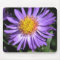 Aster Mousepad
