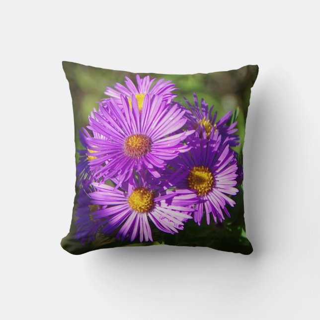 Aster pillow (Front)