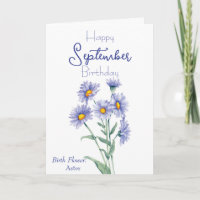 Aster September Birth Flower Birthday 