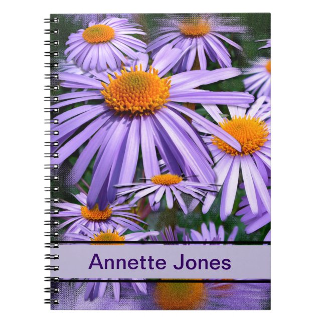 Aster tongolensis 'Berggarten' Notebook (Front)