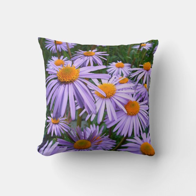 Aster tongolensis  ~ Throw PIllow (Front)