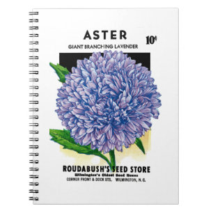 Aster Vintage Seed Packet Notebook