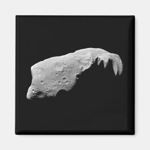 Asteroid 243 Ida Magnet