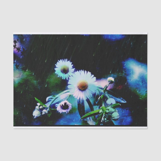 Asters Aglow  Tissue Paper (Front)