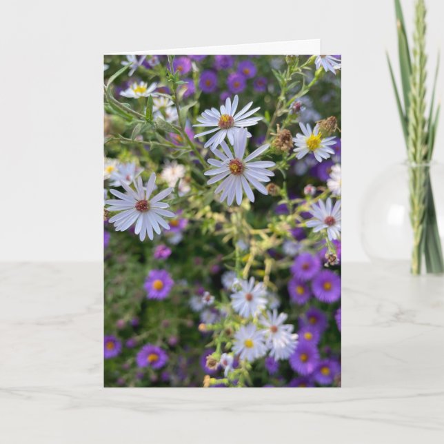 Asters Card (Front)