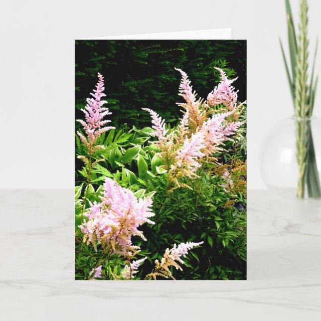 Astilbe Thank You Card (Front)