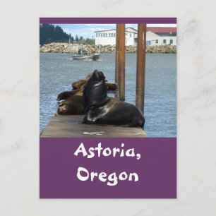 Astoria Oregon Sealions Postcard