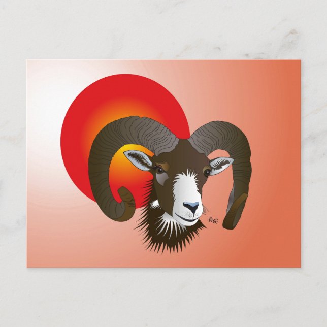 Astro postcard (Front)