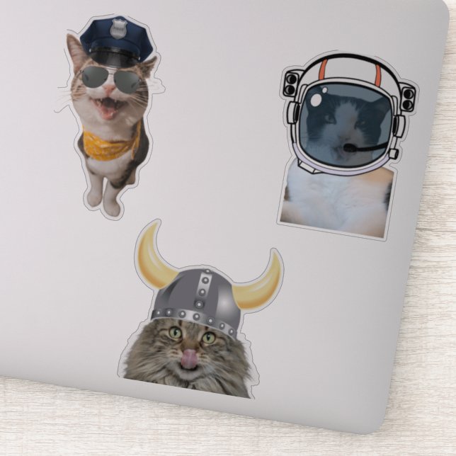 Astronaut Cat (Detail)