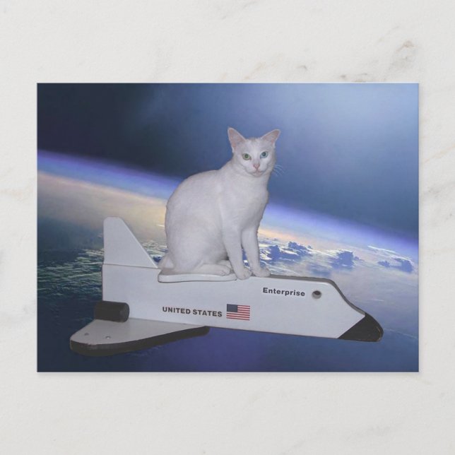 Astronaut Cat (Spirit) on Space Shuttle Postcard (Front)