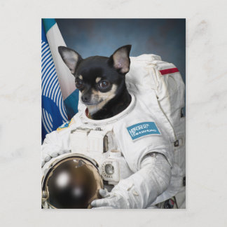 Astronaut Chihuahua Postcard