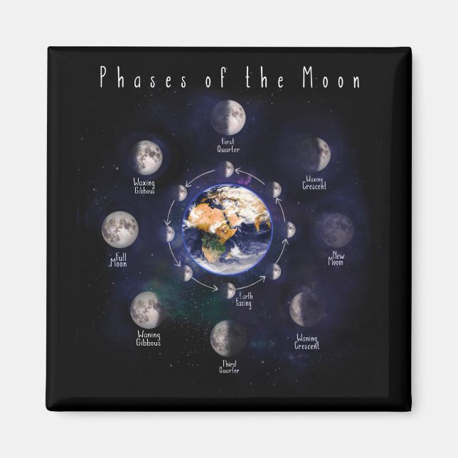 Astronomers Phases Of The Moon Magnet (Front)