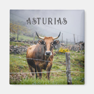 Asturias Mountain Cow Travel Magnet