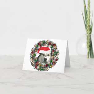 At Christmas - Alaskan Malamute Holiday Card
