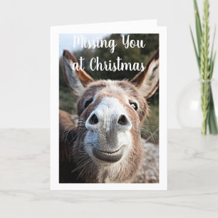 AT *CHRISTMAS DONKEY MISSES YOU* & NOT HAPPY :( HOLIDAY CARD