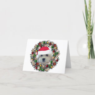 At Christmas - Havanese Holiday Card
