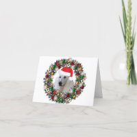 At Christmas - Standard Poodle